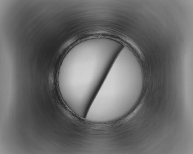 X0000115700826200911191228