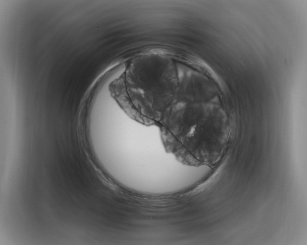 X0000115700827200911191228