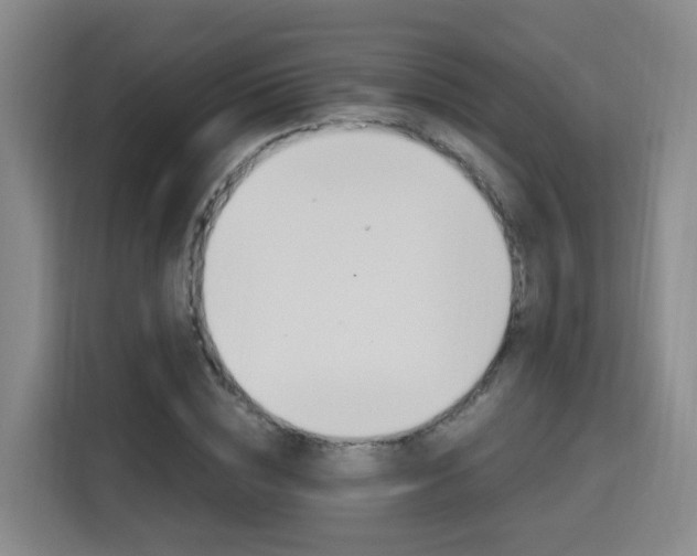 X0000115700828200911191228