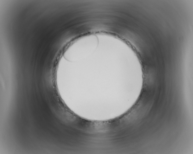 X0000115700832200911191228