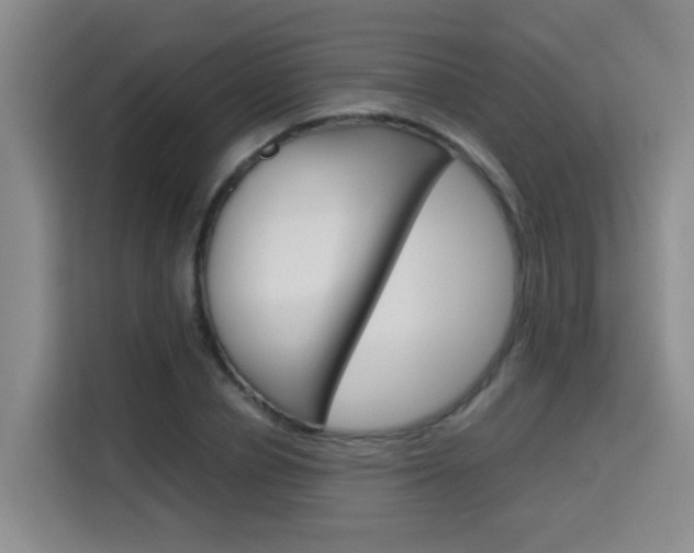 X0000115700834200911191228