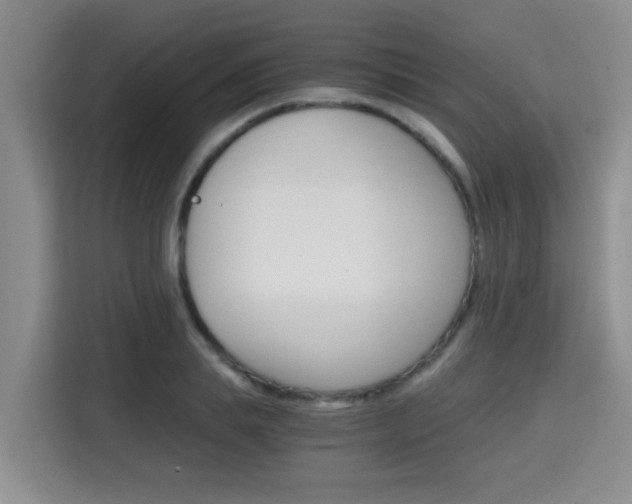 X0000115700839200911191228