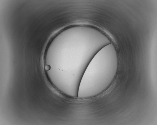 X0000115700840200911191228