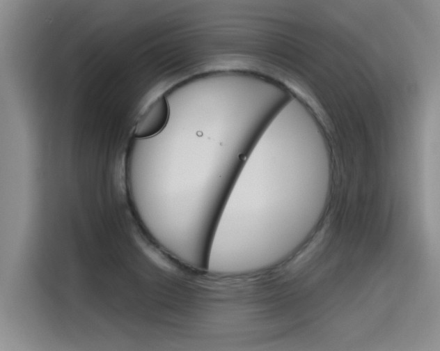 X0000115700842200911191228