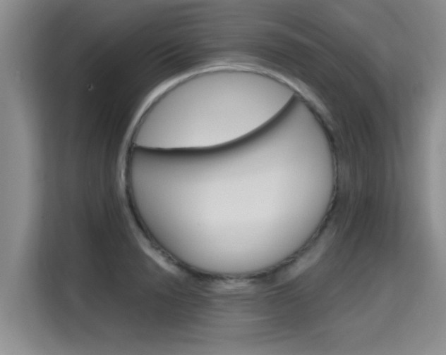 X0000115700846200911191228