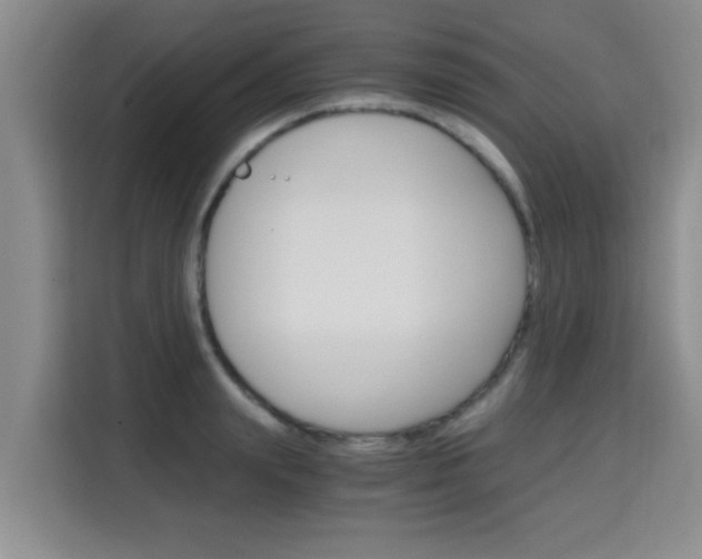 X0000115700847200911191228