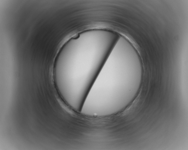 X0000115700850200911191228