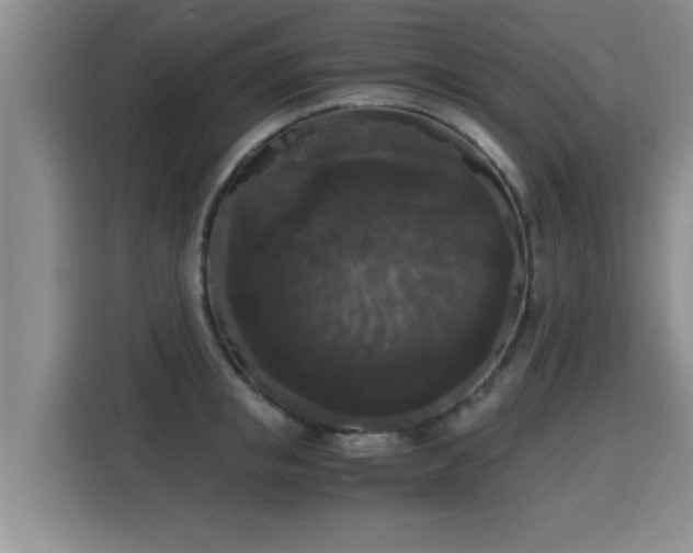 X0000115700853200911191228