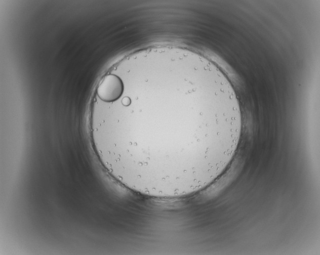 X0000115700856200911191228