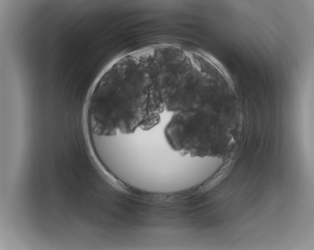 X0000115700859200911191228