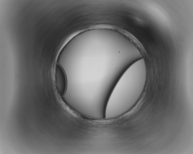 X0000115700860200911191228