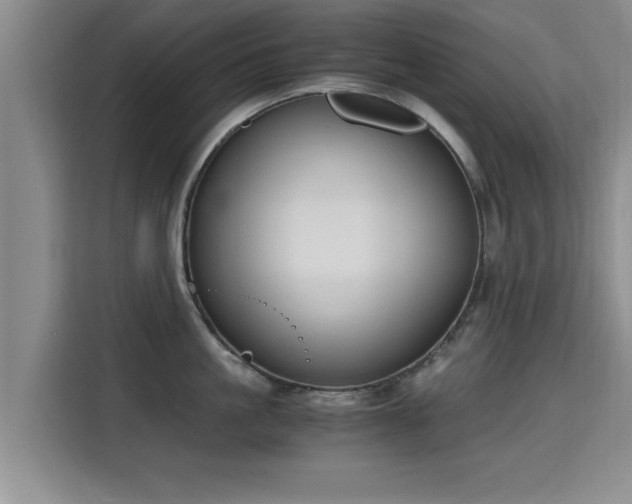 X0000115700861200911191228