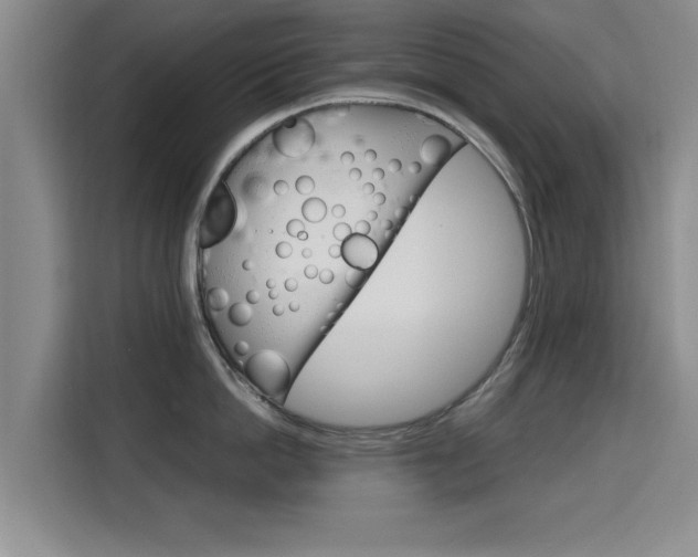 X0000115700862200911191228