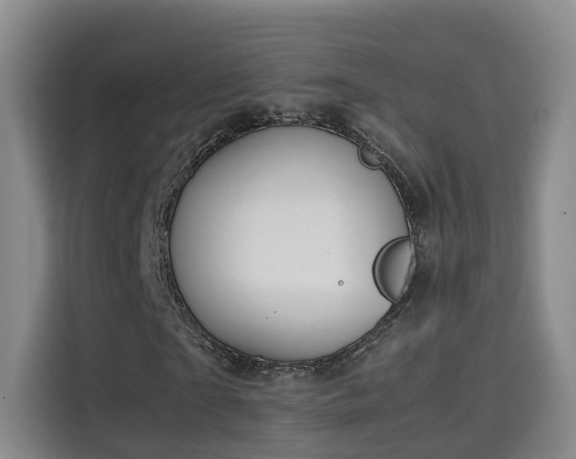 X0000115700865200911191227