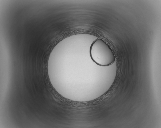 X0000115700868200911191227