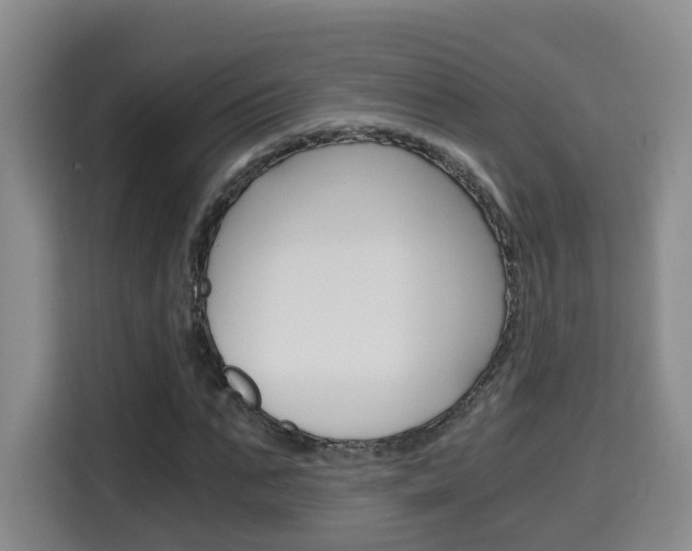 X0000115700871200911191227