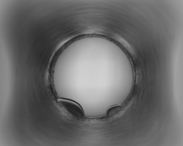 X0000115700876200911191227