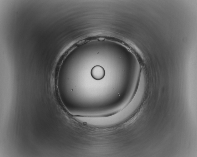 X0000115700877200911191227