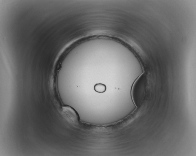 X0000115700880200911191227