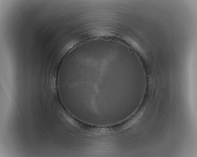 X0000115700881200911191227