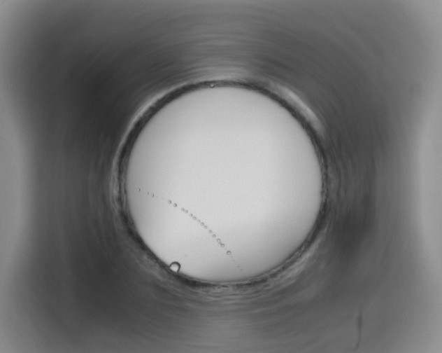 X0000115700883200911191227