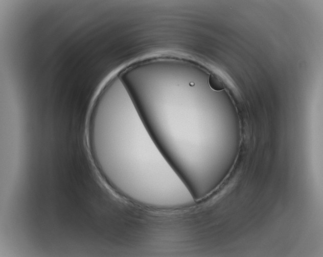 X0000115700888200911191227