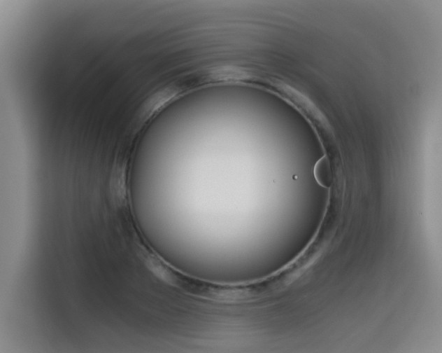 X0000115700889200911191227