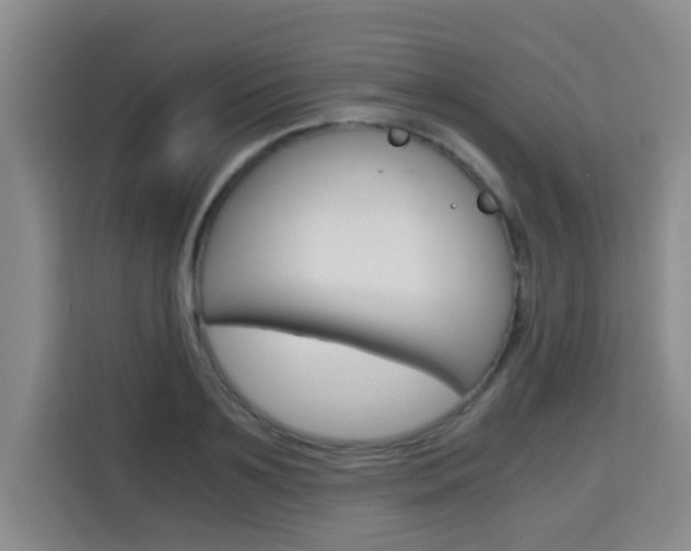 X0000115700891200911191227