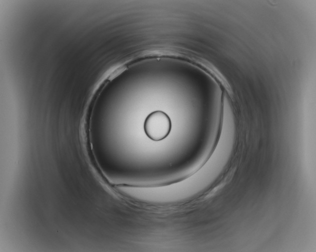 X0000115700893200911191227