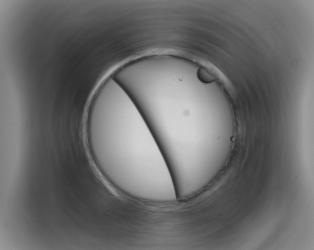 X0000115700894200911191227