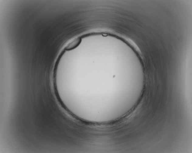 X0000115700895200911191227