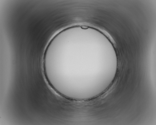 X0000115700903200911191227