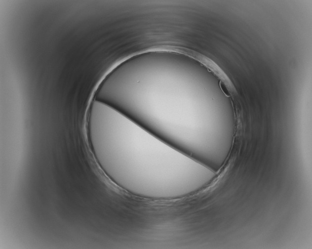 X0000115700908200911191227