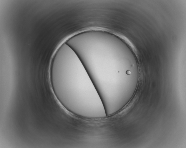 X0000115700910200911191227