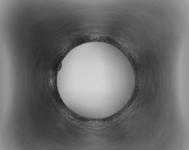 X0000115700914200911191226