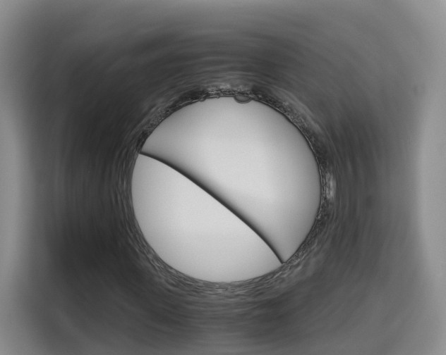 X0000115700915200911191226