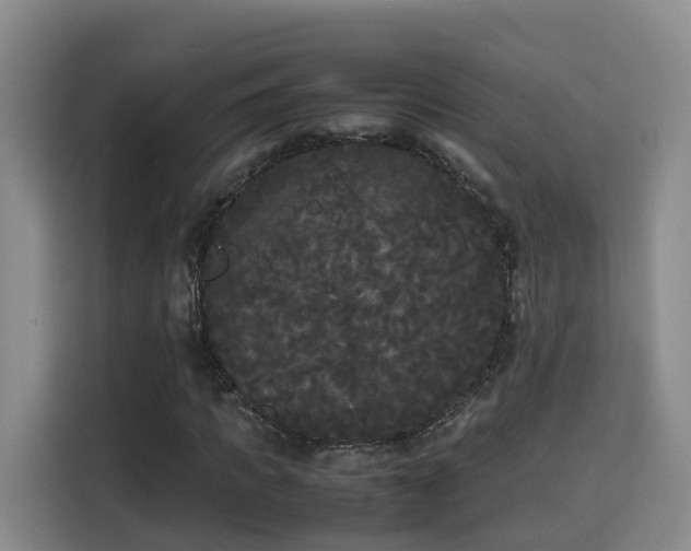 X0000115700917200911191226