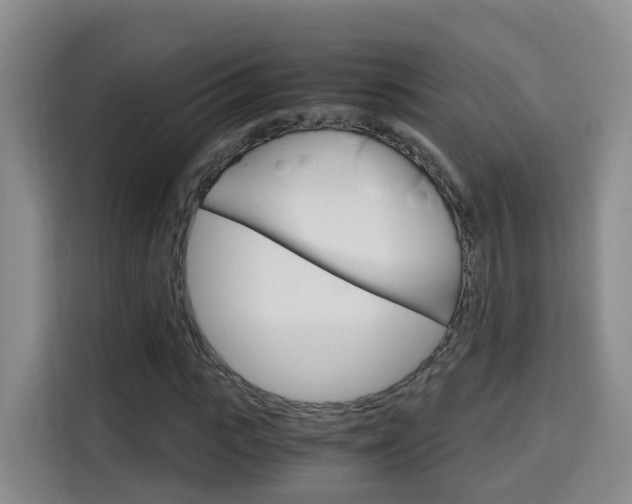 X0000115700919200911191226