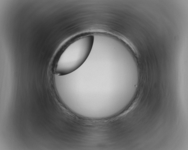 X0000115700926200911191226