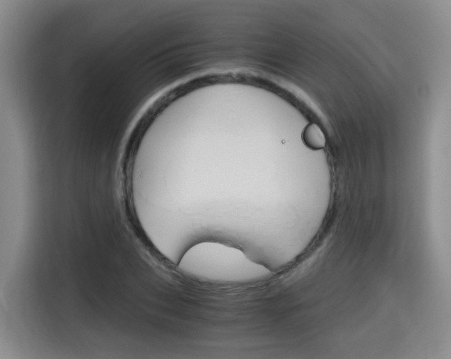 X0000115700927200911191226