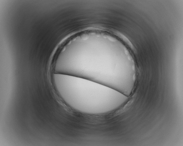 X0000115700931200911191226