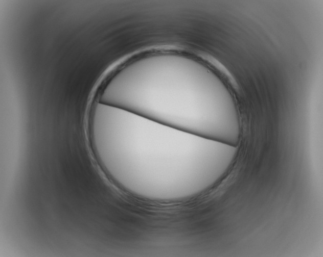 X0000115700935200911191226