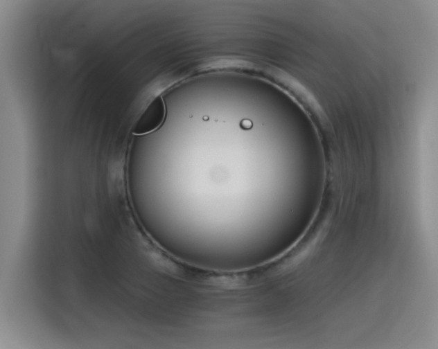 X0000115700937200911191226