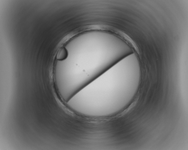 X0000115700938200911191226