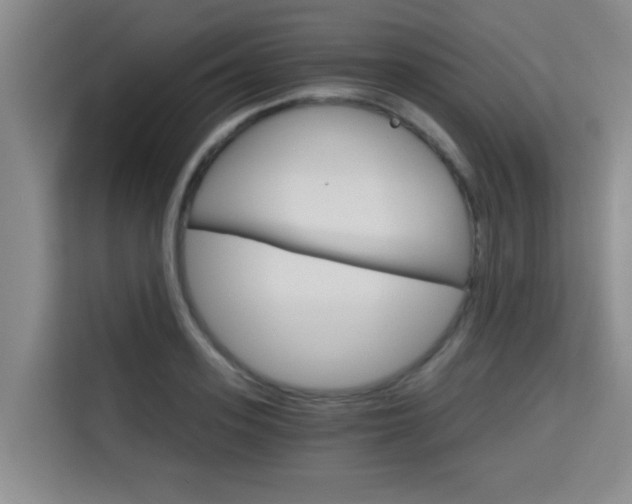 X0000115700939200911191226