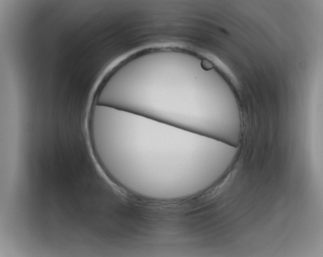 X0000115700943200911191227