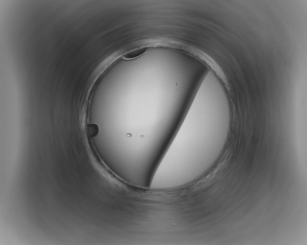 X0000115700946200911191227