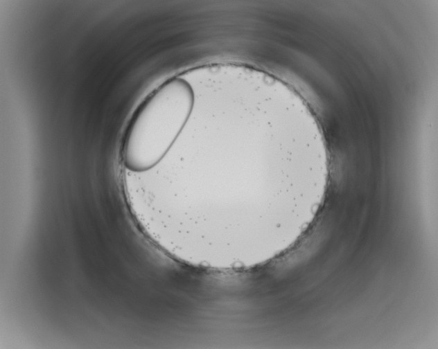 X0000115700950200911191227