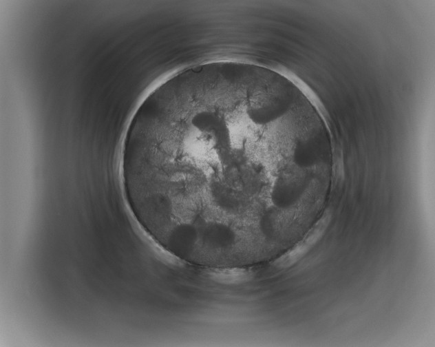 X0000115700957200911191227