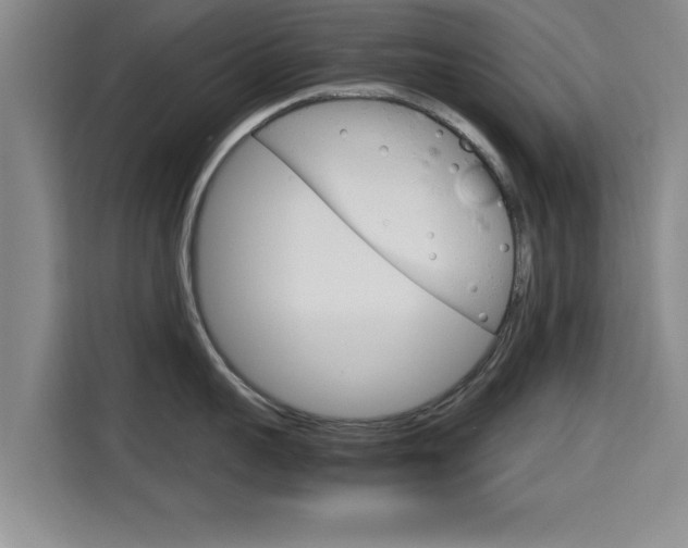 X0000115700959200911191227